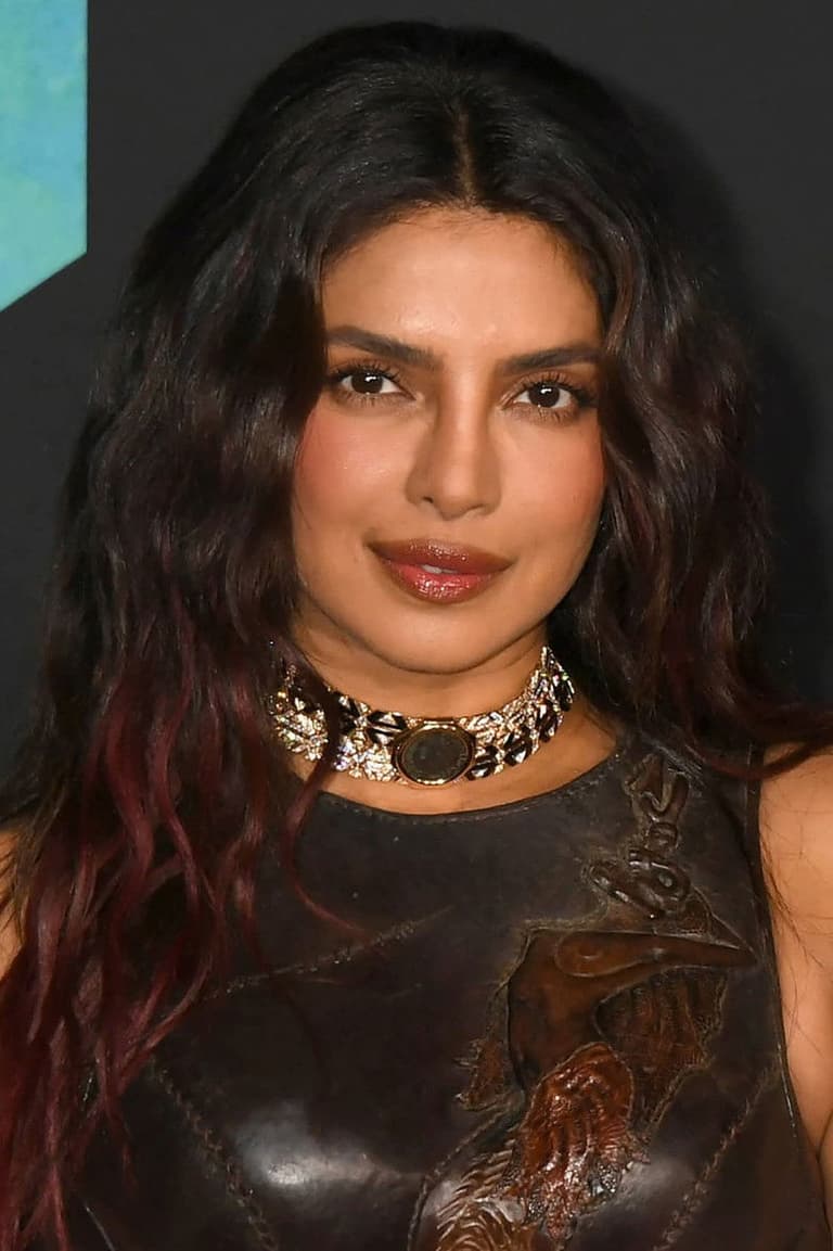 Actor Priyanka Chopra Jonas