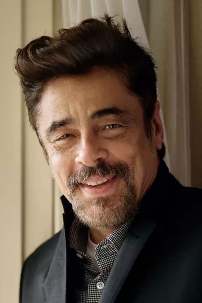 Actor Benicio del Toro