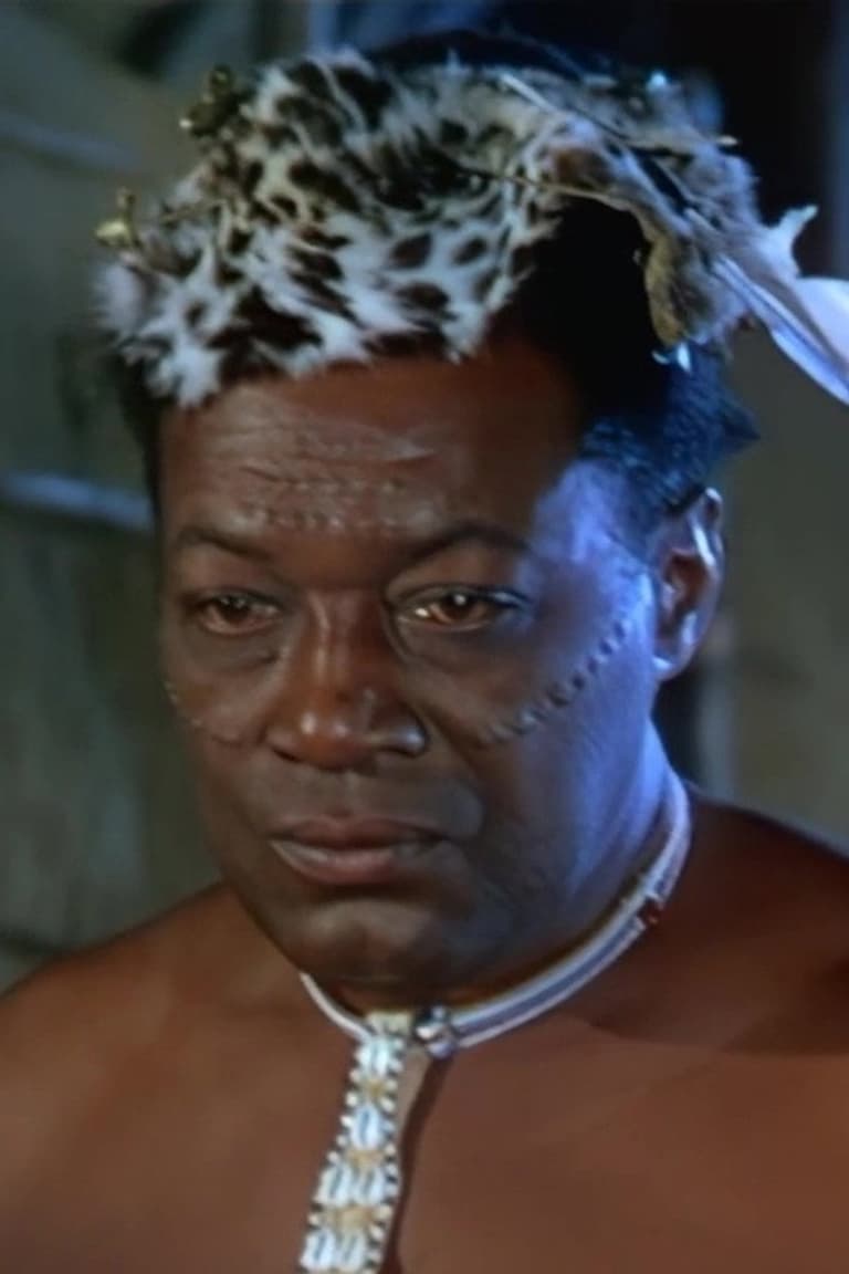 Actor Everett Brown