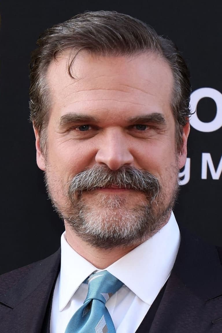 Actor David Harbour
